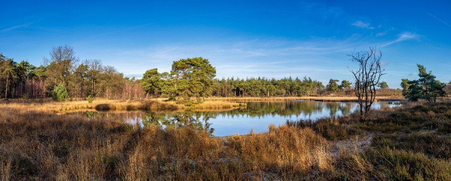 Wandelroute Stiphoutse Bossen