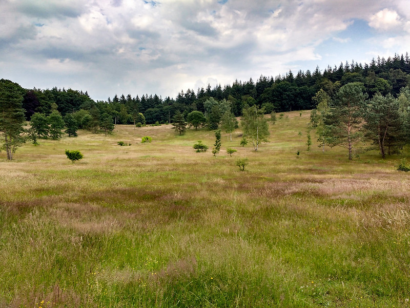 Landgoed De Paltz – Herman van Veen Arts Center